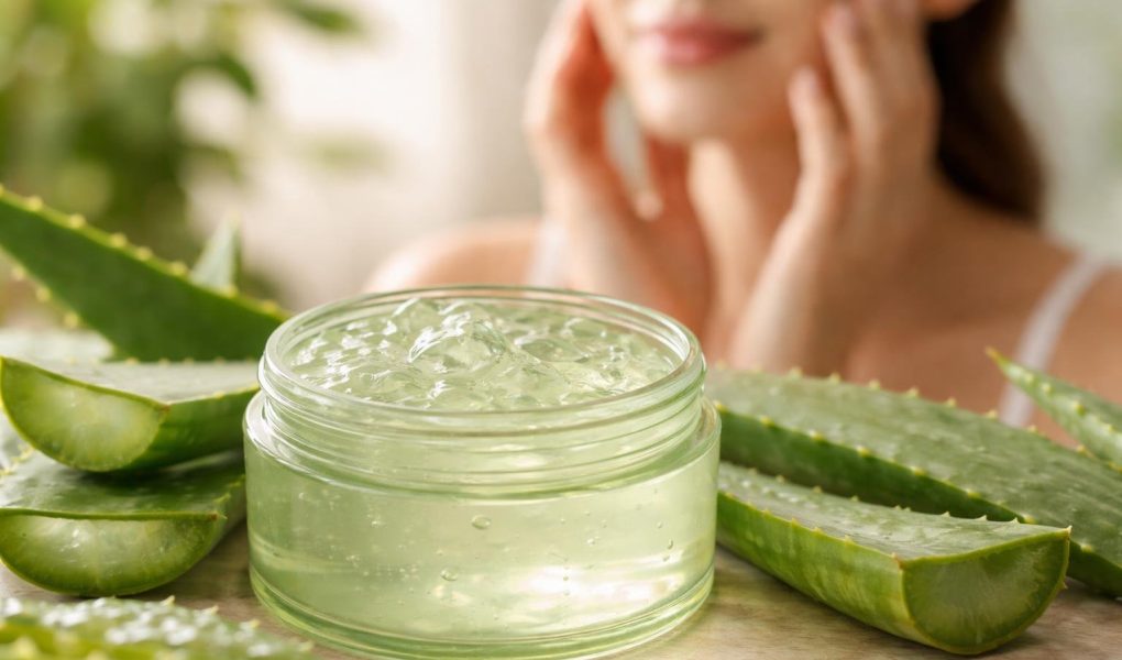 pot-gel-aloe-vera-feuilles